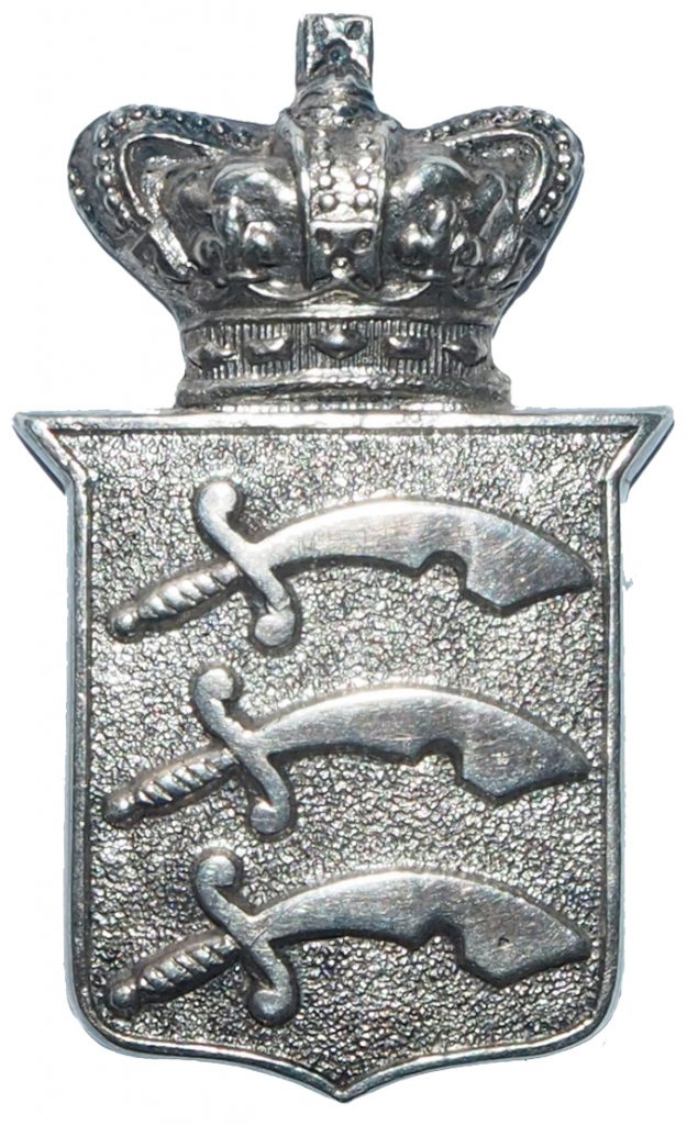 3rd VB Essex Regiment officer field service cap badge