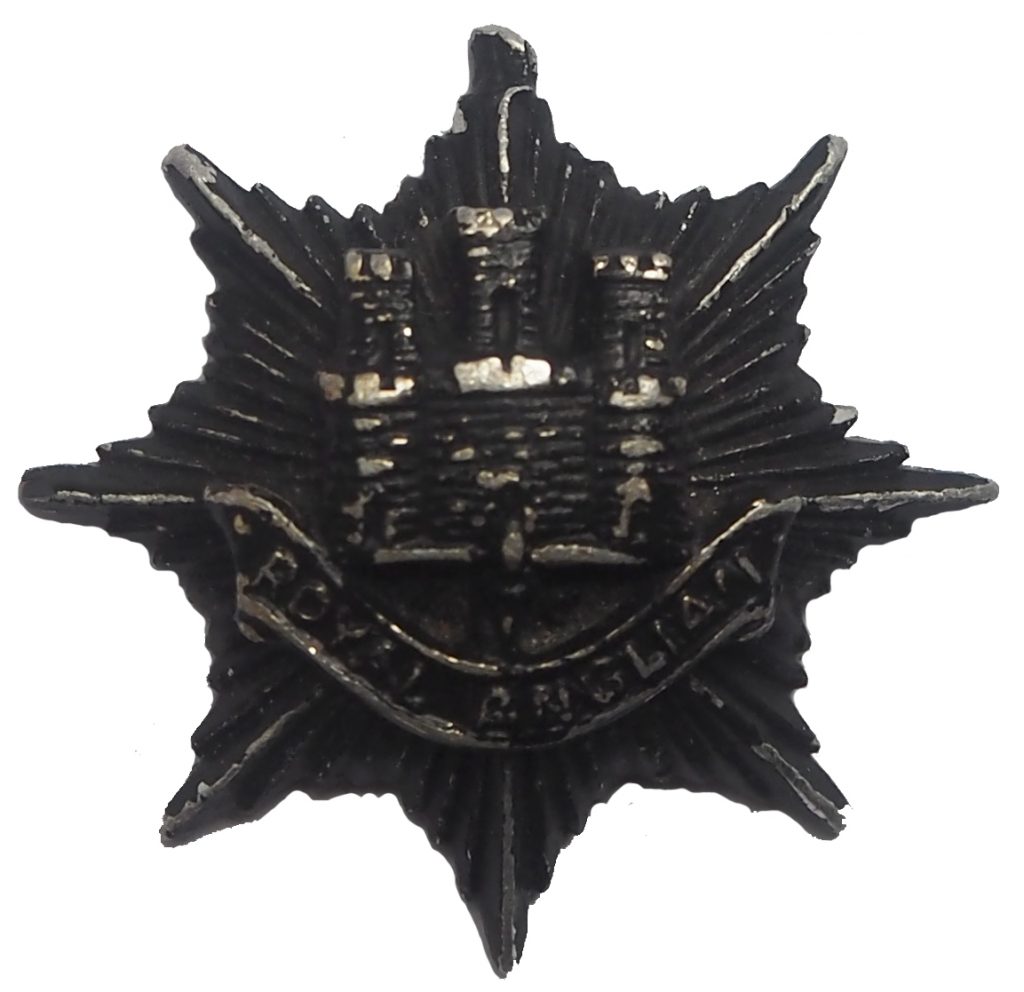 KK2042 R Anglian OR blackened cap badge